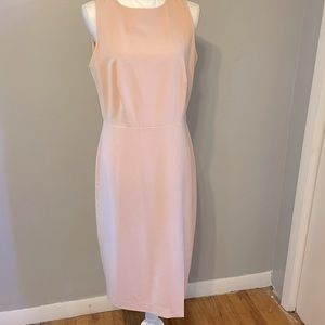 The Limited sz 10  color soft  Pink . With side slit